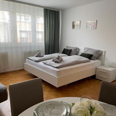Apartment Green - Grey ليوبليانا المظهر الخارجي الصورة